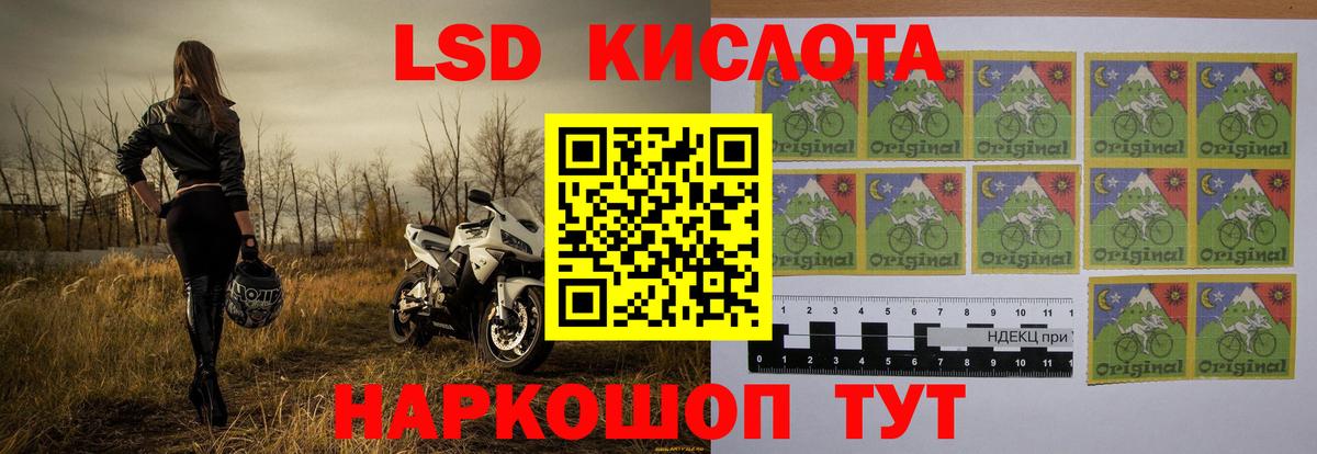 A PVP Красный Сулин